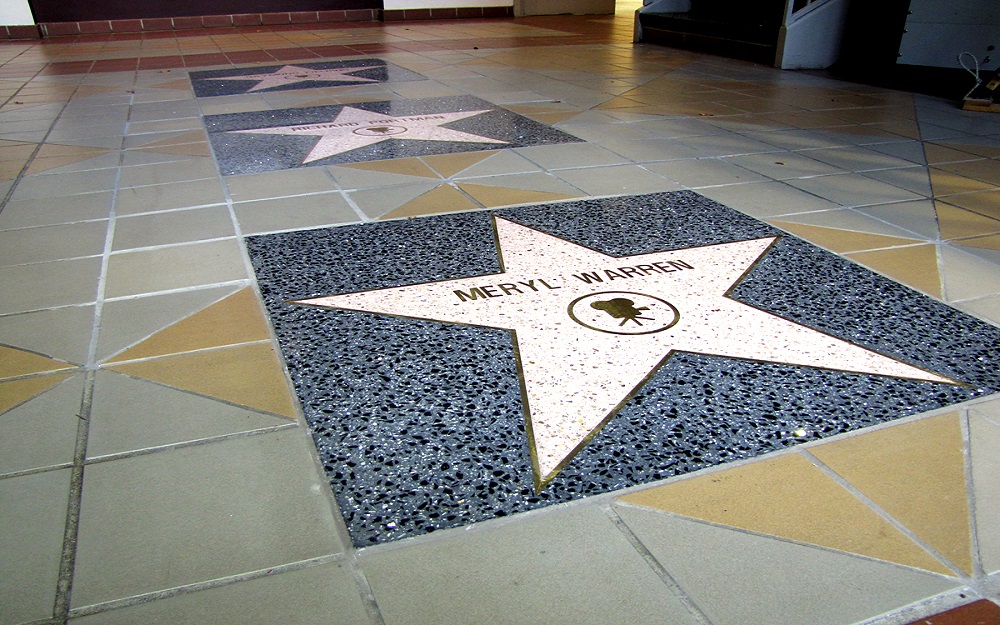 Meryl Warren Alumni Fund